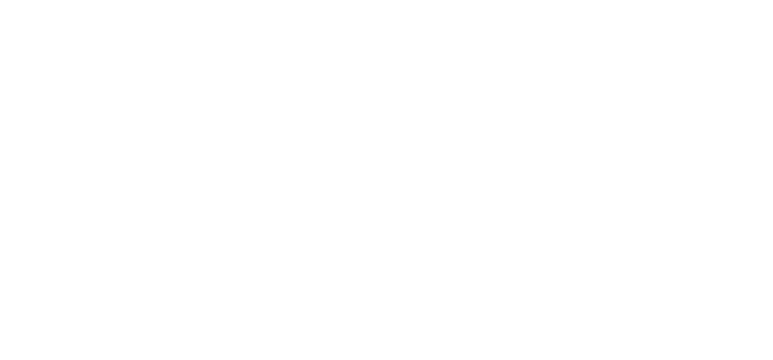 B1NK13