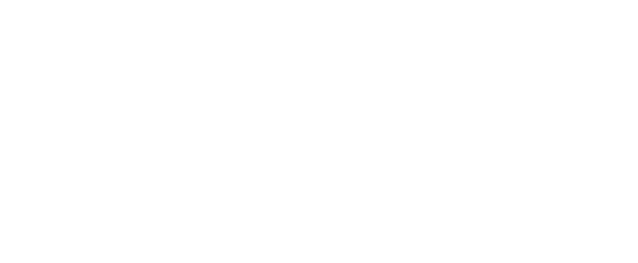 logo b1nk13 wit